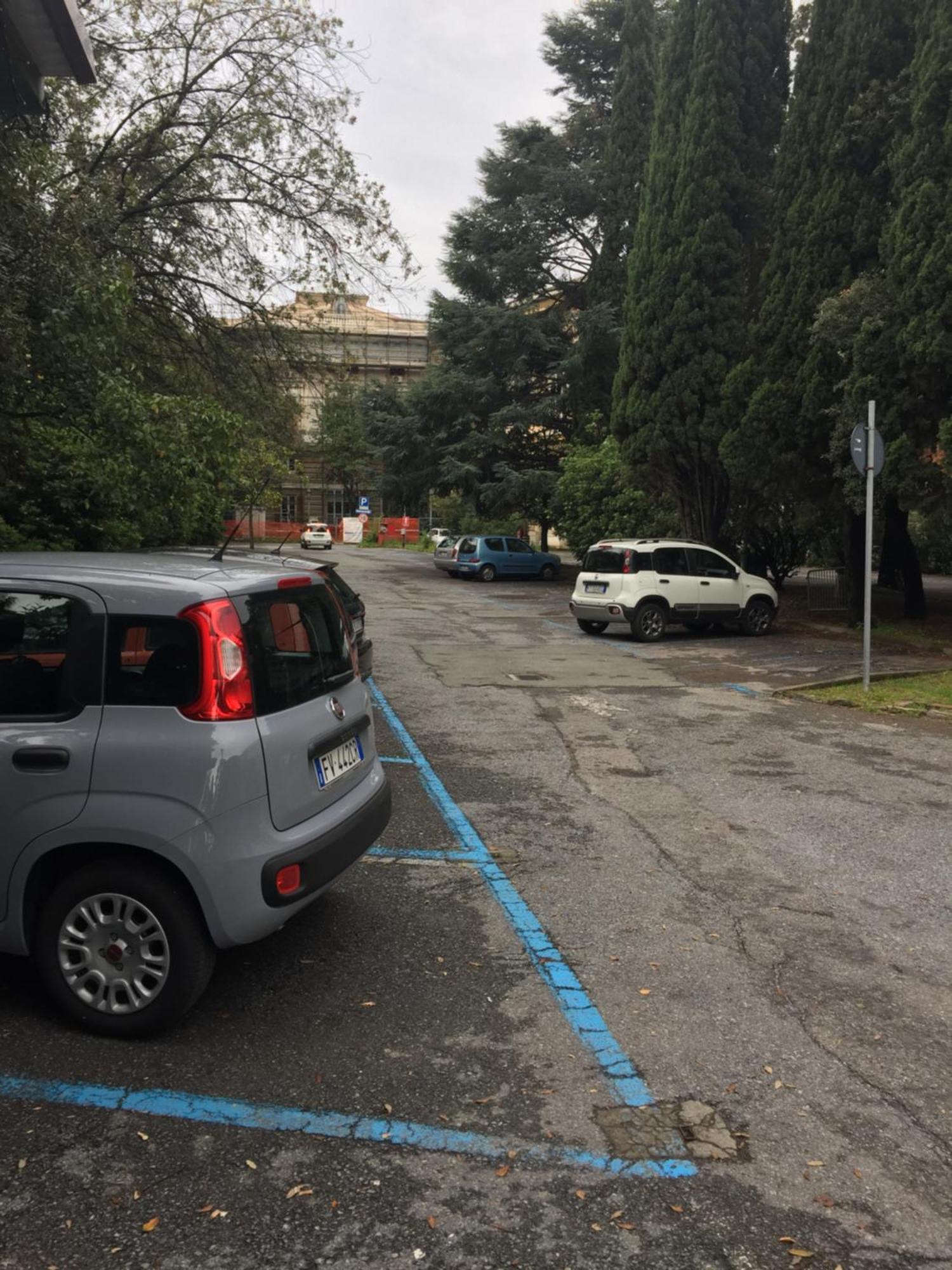 Appartamento In Centro Zona Fiera,Davanti Al Galliera Genua Exterior foto